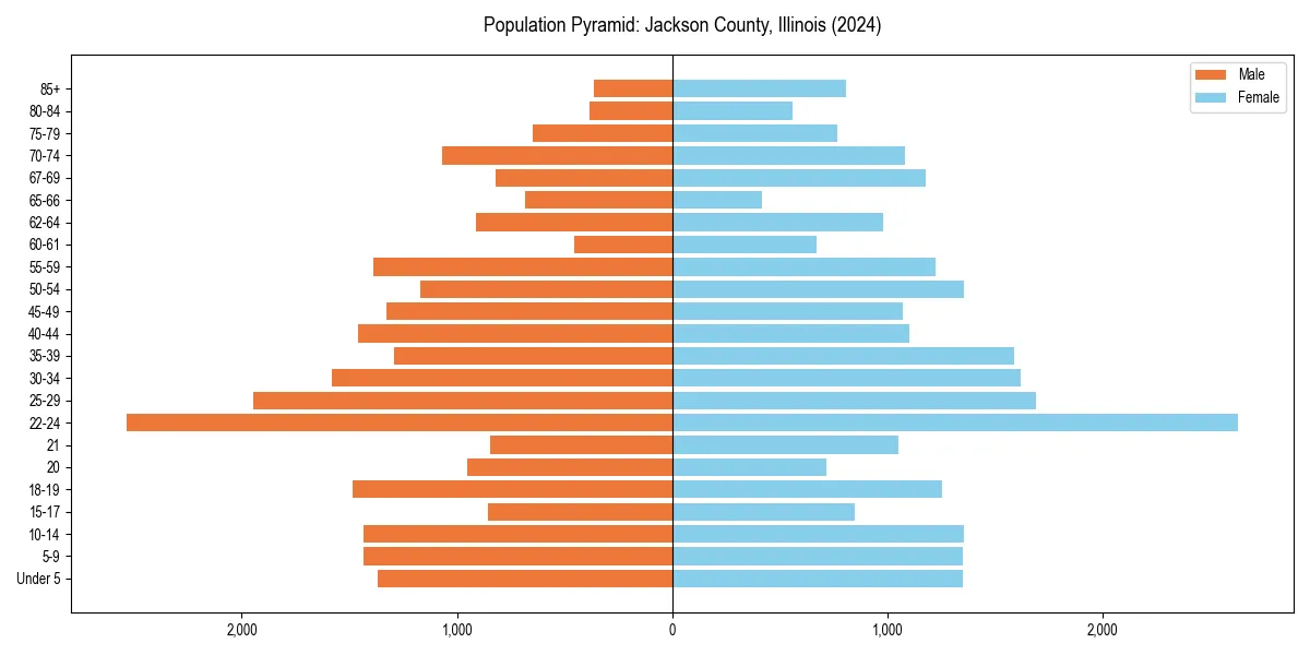 Population pyramid for 