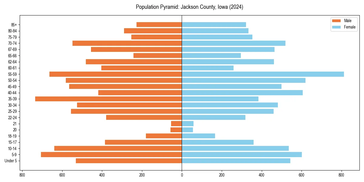 Population pyramid for 