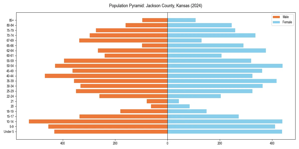 Population pyramid for 