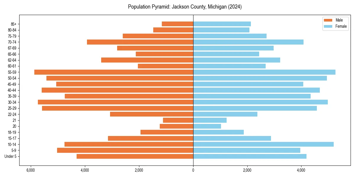 Population pyramid for 