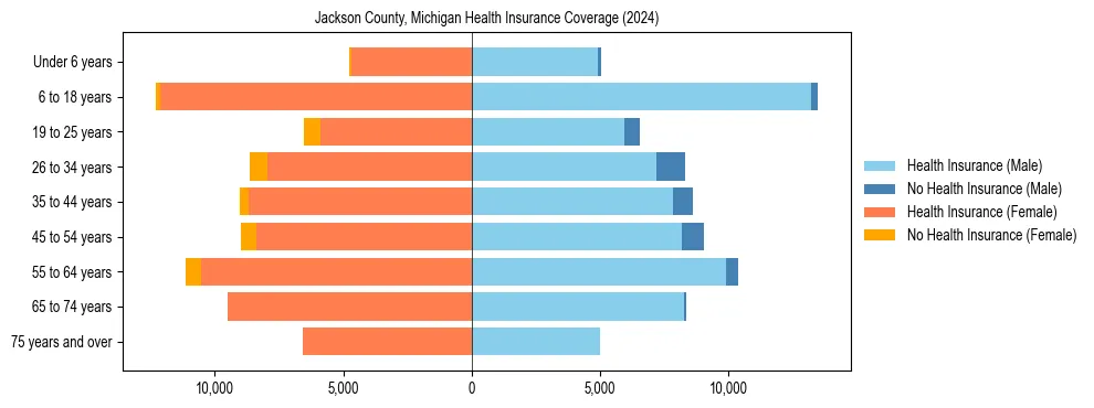 Health insurance pyramid for Jackson County, Michigan