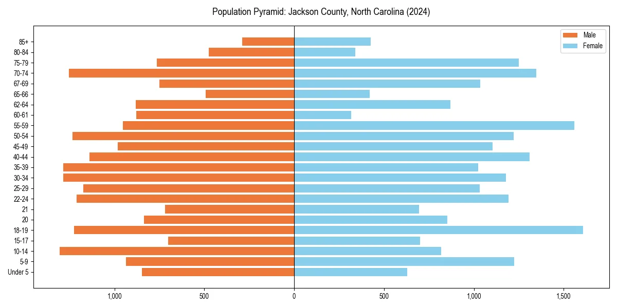 Population pyramid for 