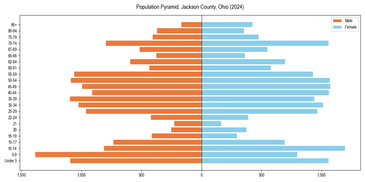 Population pyramid for 