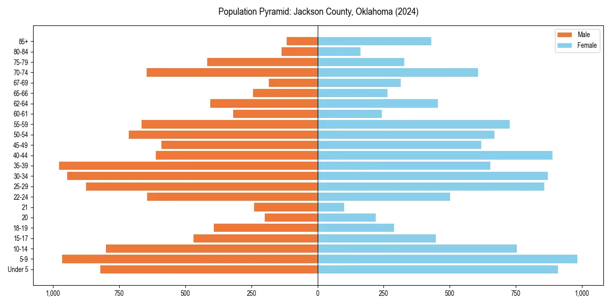 Population pyramid for 