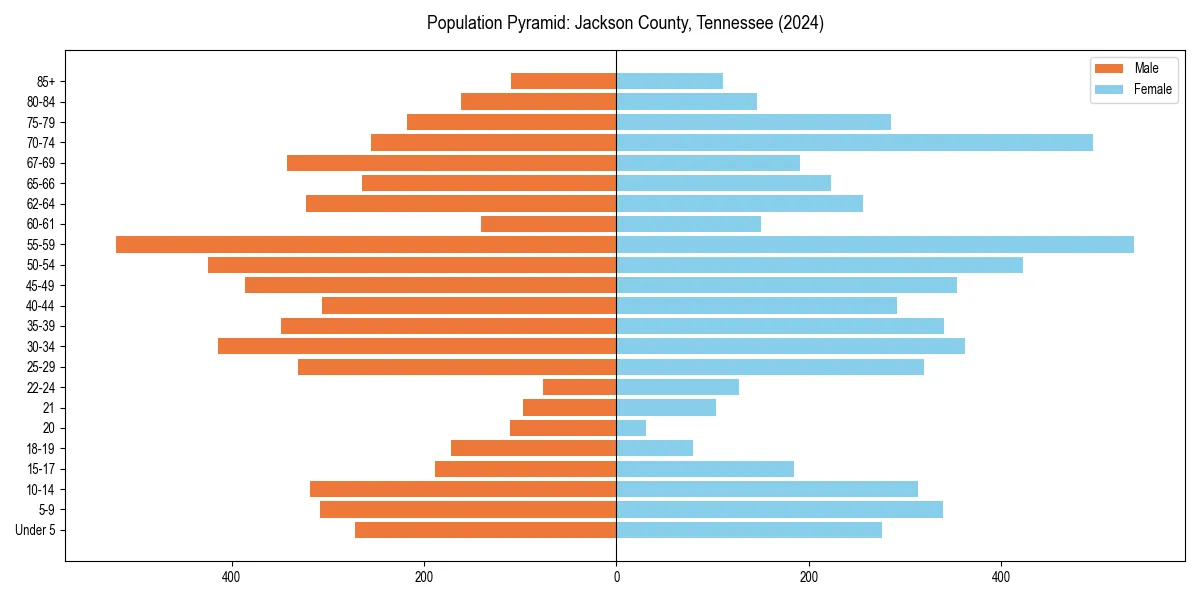 Population pyramid for 