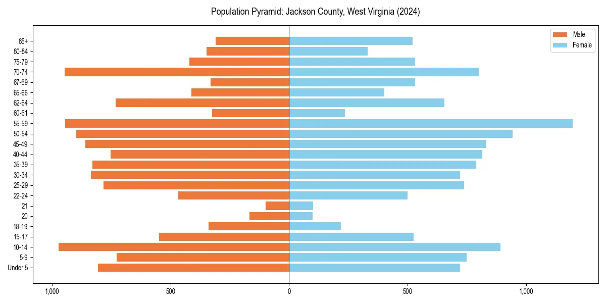 Population pyramid for 