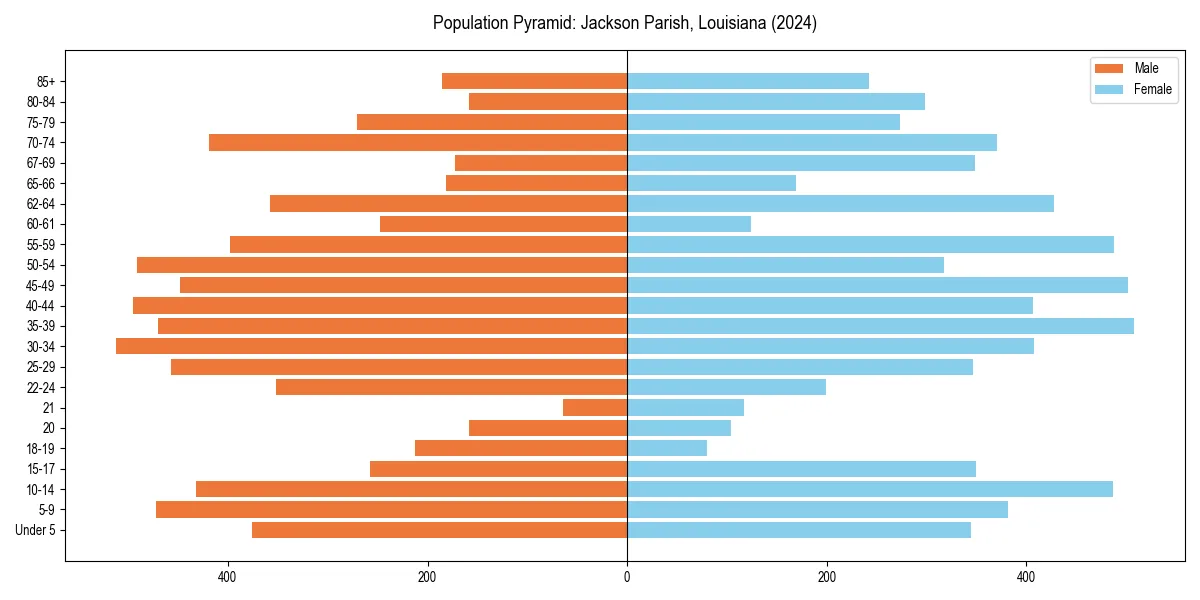 Population pyramid for 