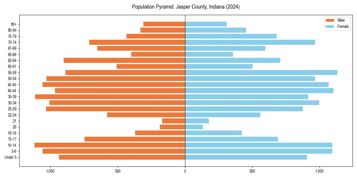 Population pyramid for 