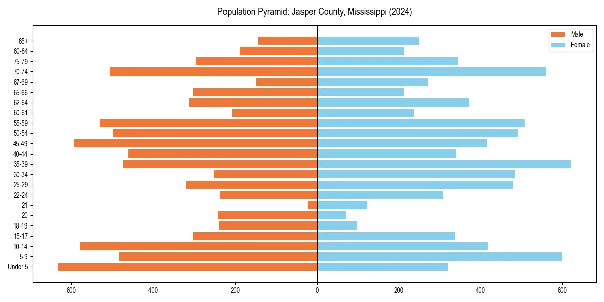 Population pyramid for 