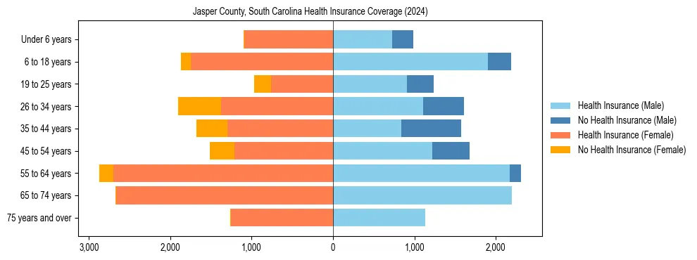Health insurance pyramid for Jasper County, South Carolina