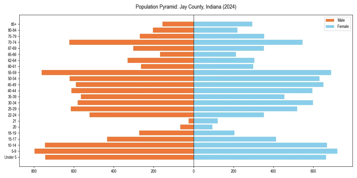 Population pyramid for 