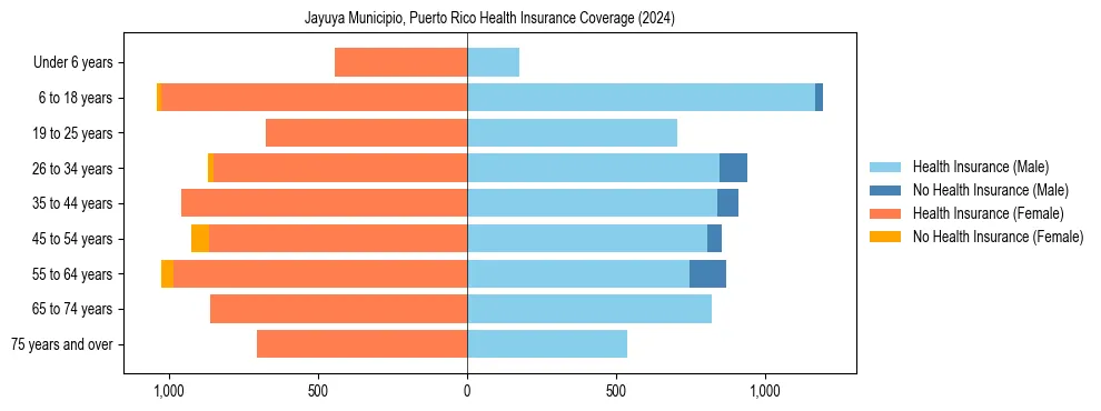 Health insurance pyramid for Jayuya Municipio, Puerto Rico
