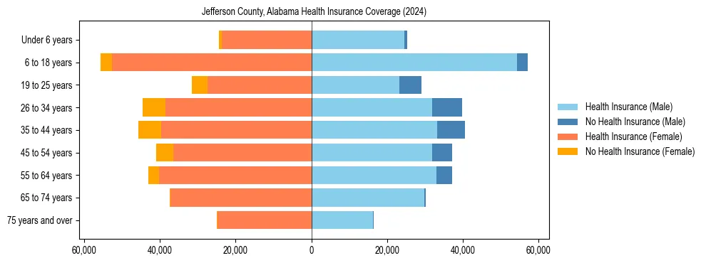 Health insurance pyramid for Jefferson County, Alabama