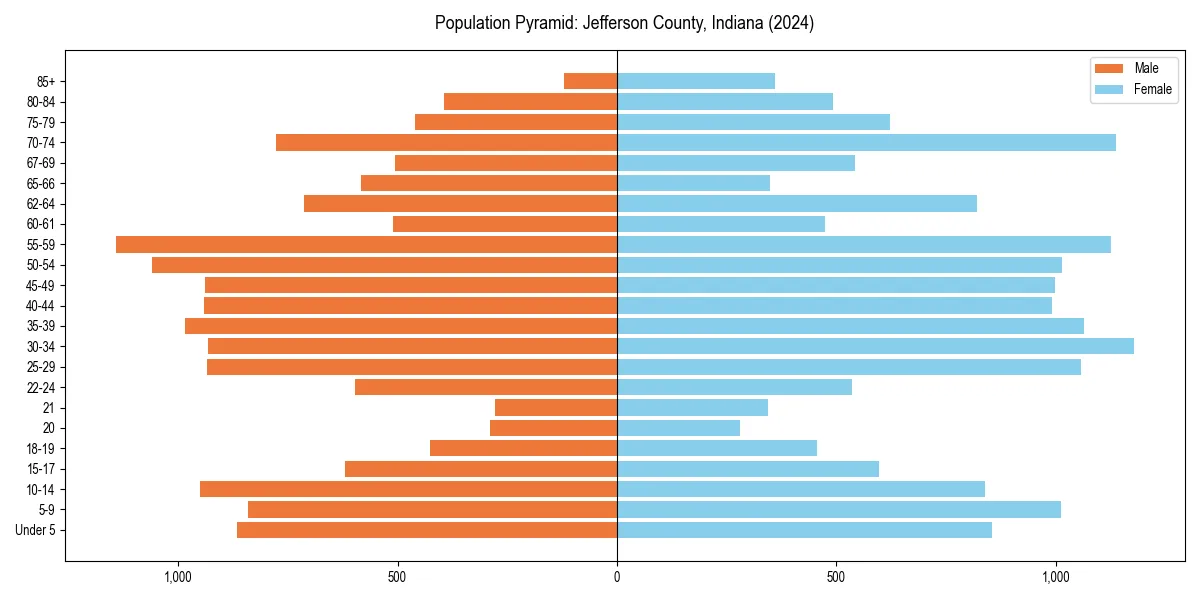 Population pyramid for 