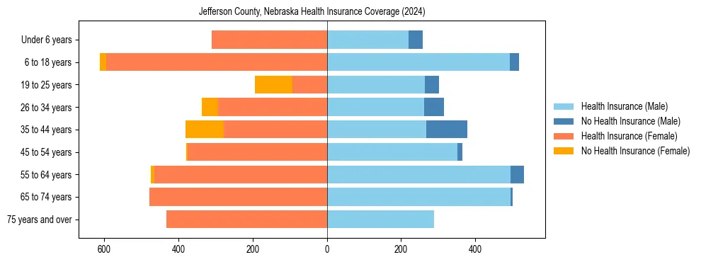 Health insurance pyramid for Jefferson County, Nebraska