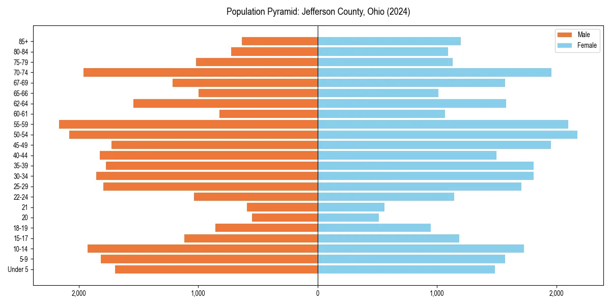 Population pyramid for 