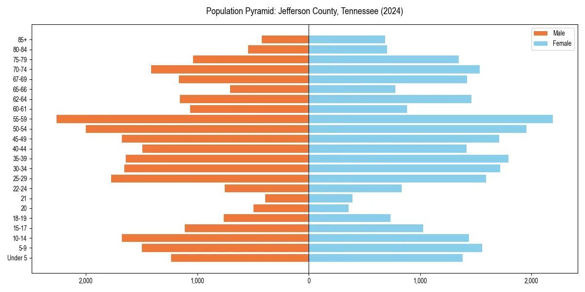 Population pyramid for 