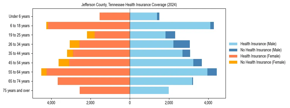 Health insurance pyramid for Jefferson County, Tennessee