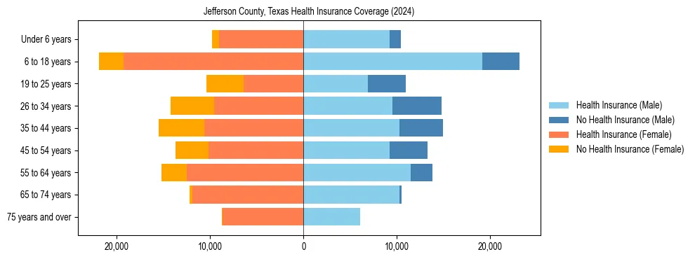 Health insurance pyramid for Jefferson County, Texas