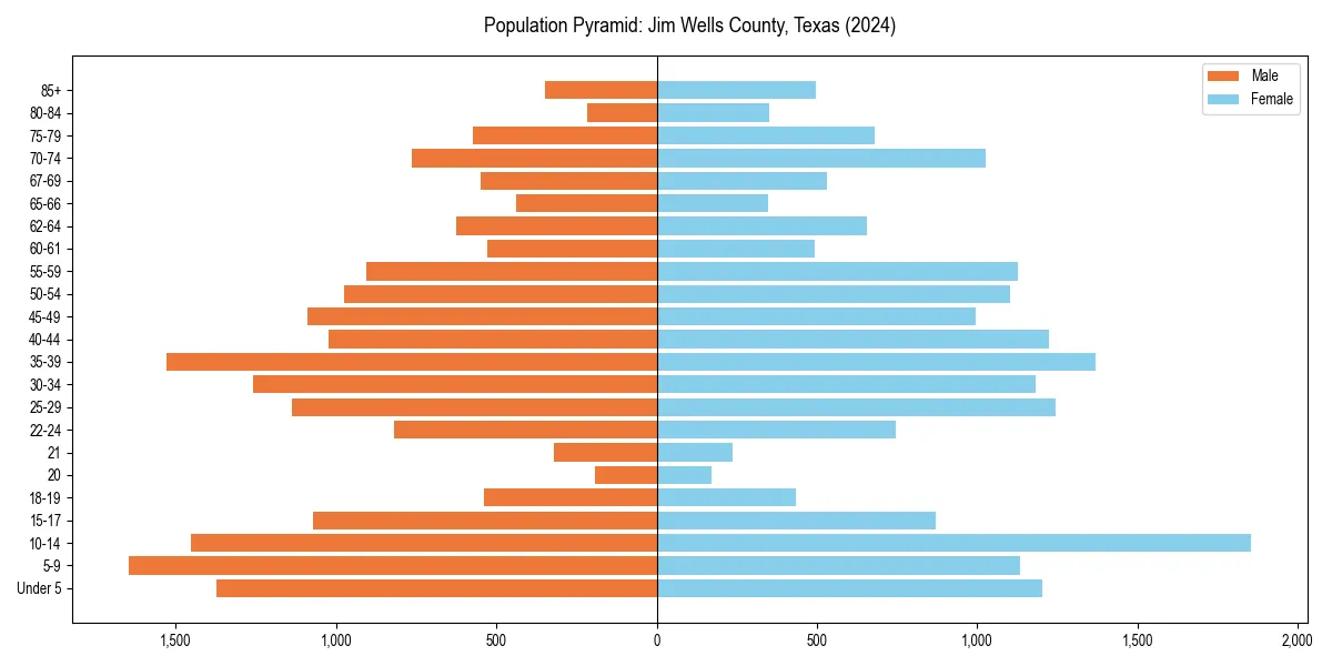 Population pyramid for 