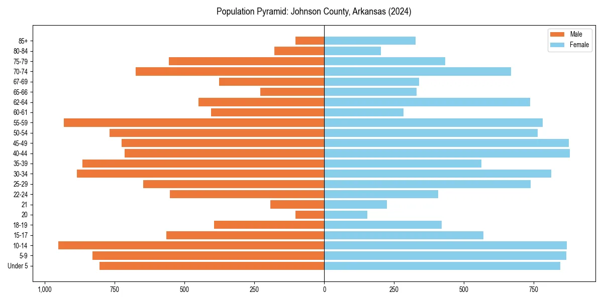 Population pyramid for 