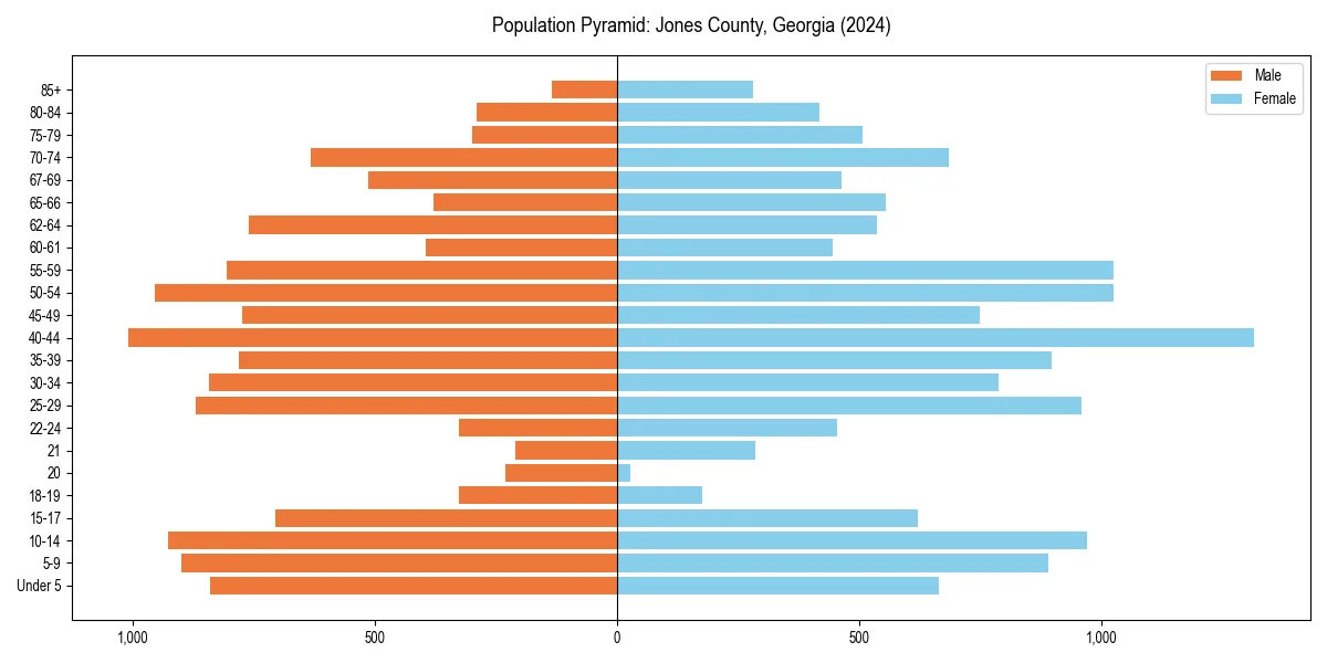 Population pyramid for 