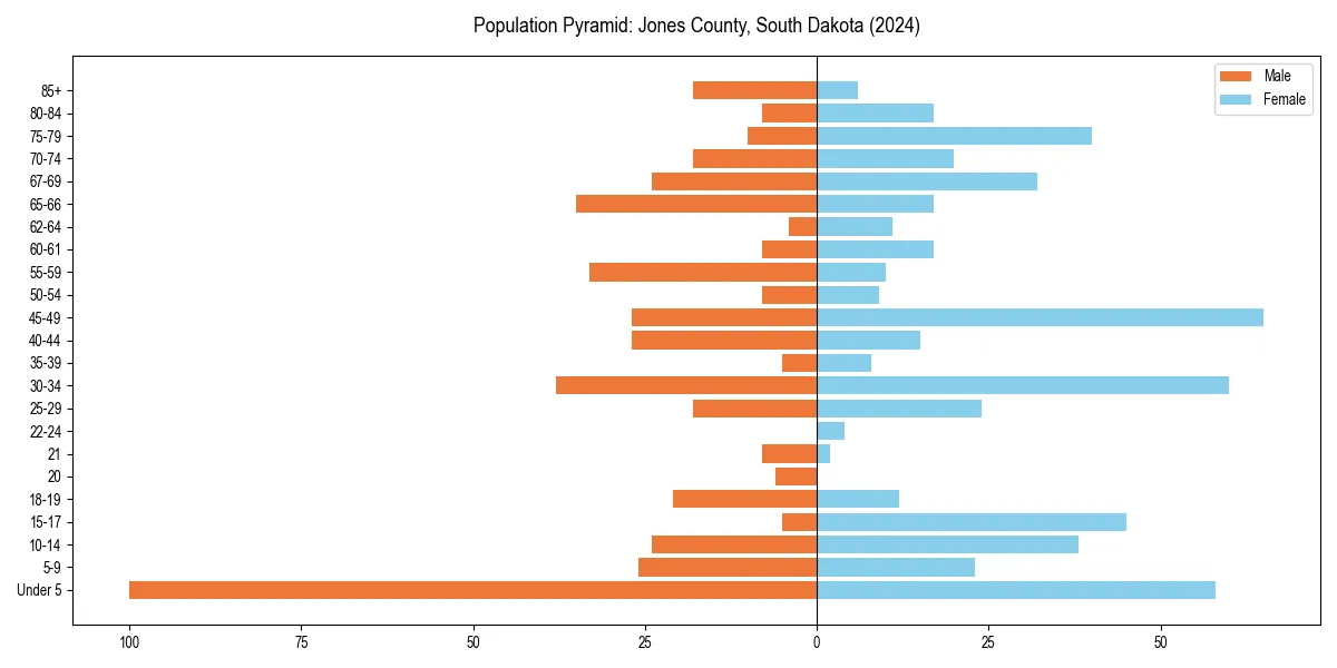 Population pyramid for 