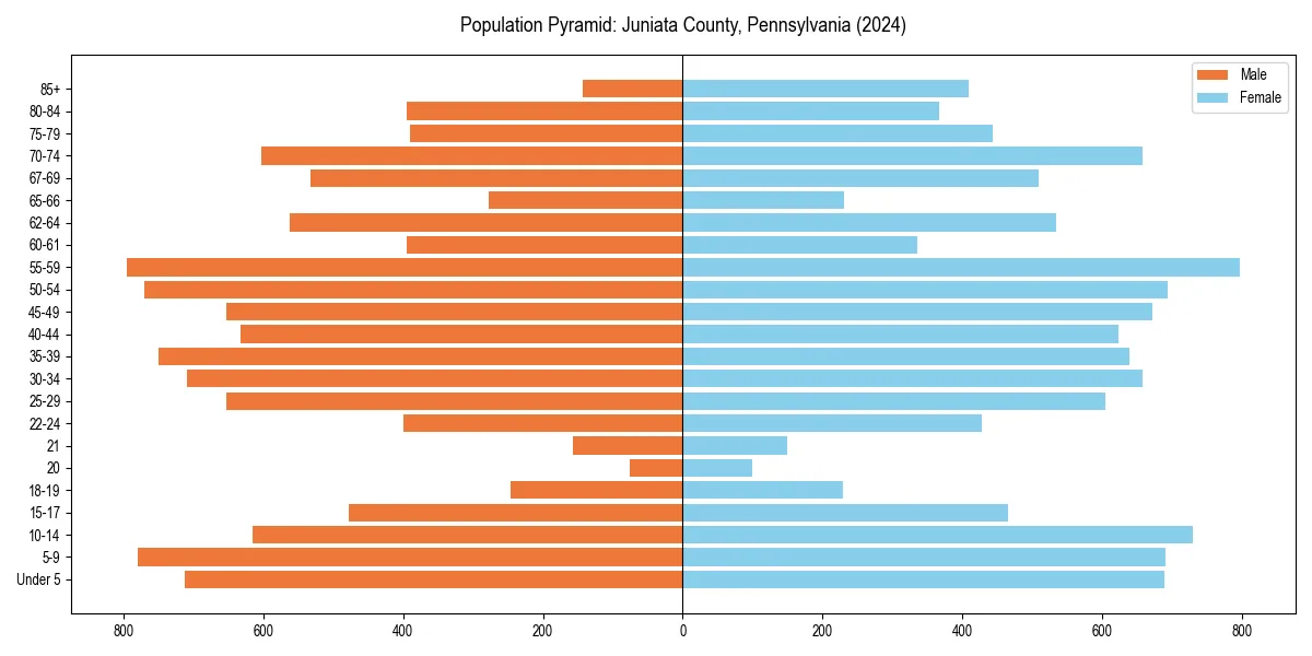 Population pyramid for 