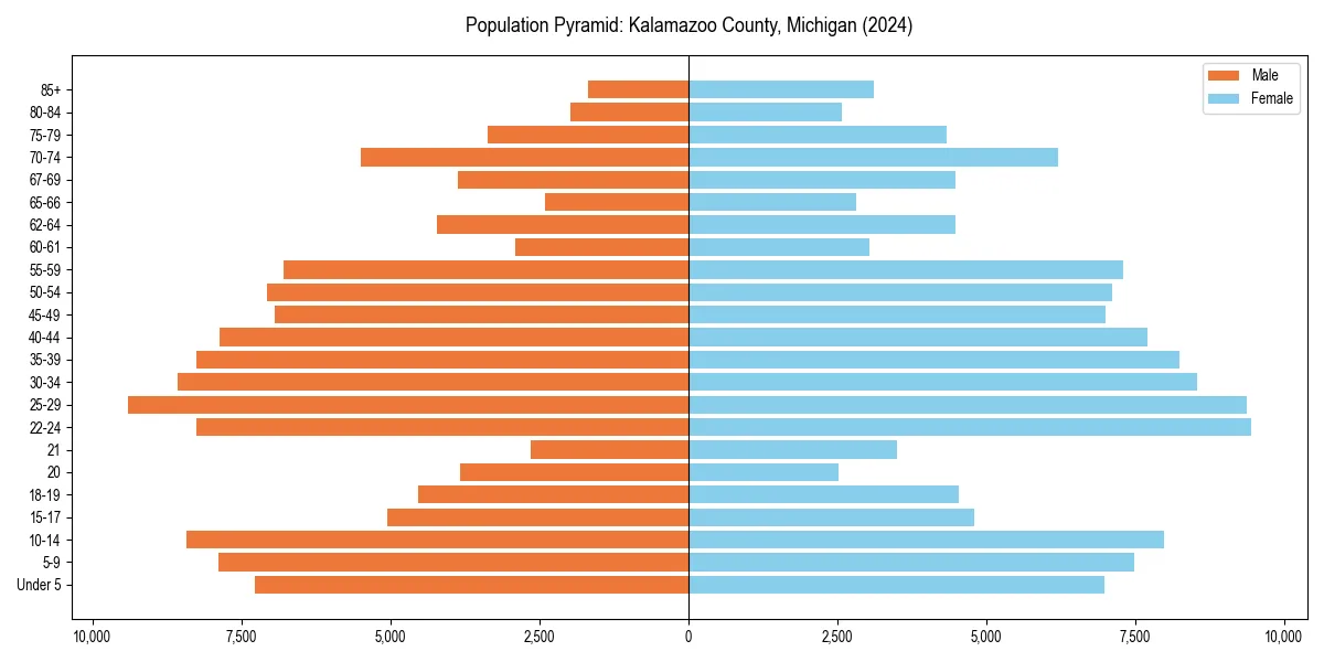 Population pyramid for 