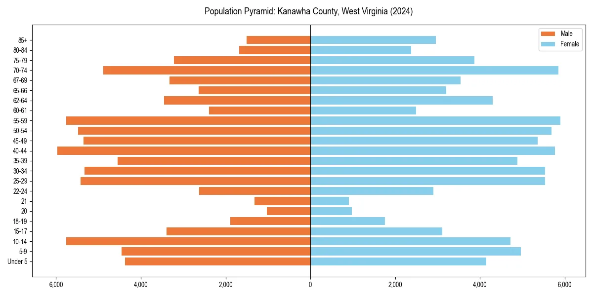 Population pyramid for 