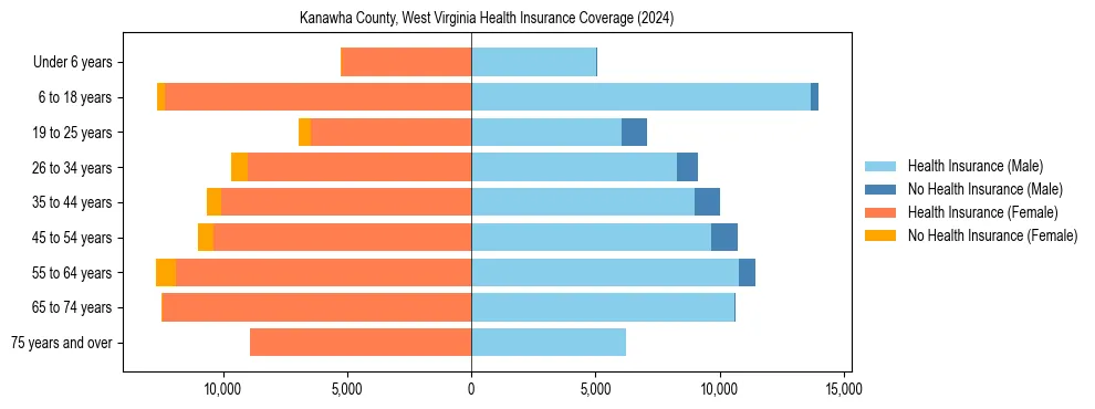 Health insurance pyramid for Kanawha County, West Virginia