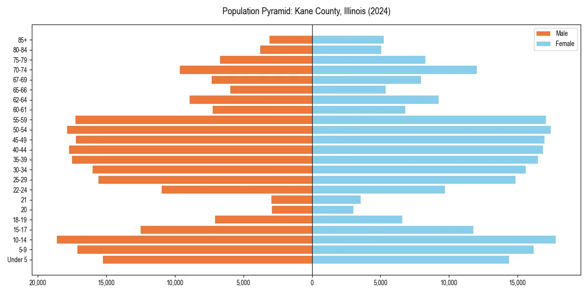 Population pyramid for 