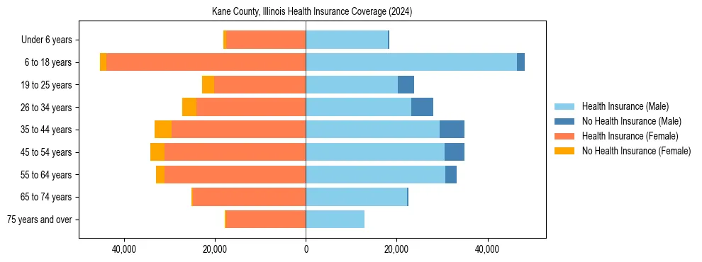 Health insurance pyramid for Kane County, Illinois