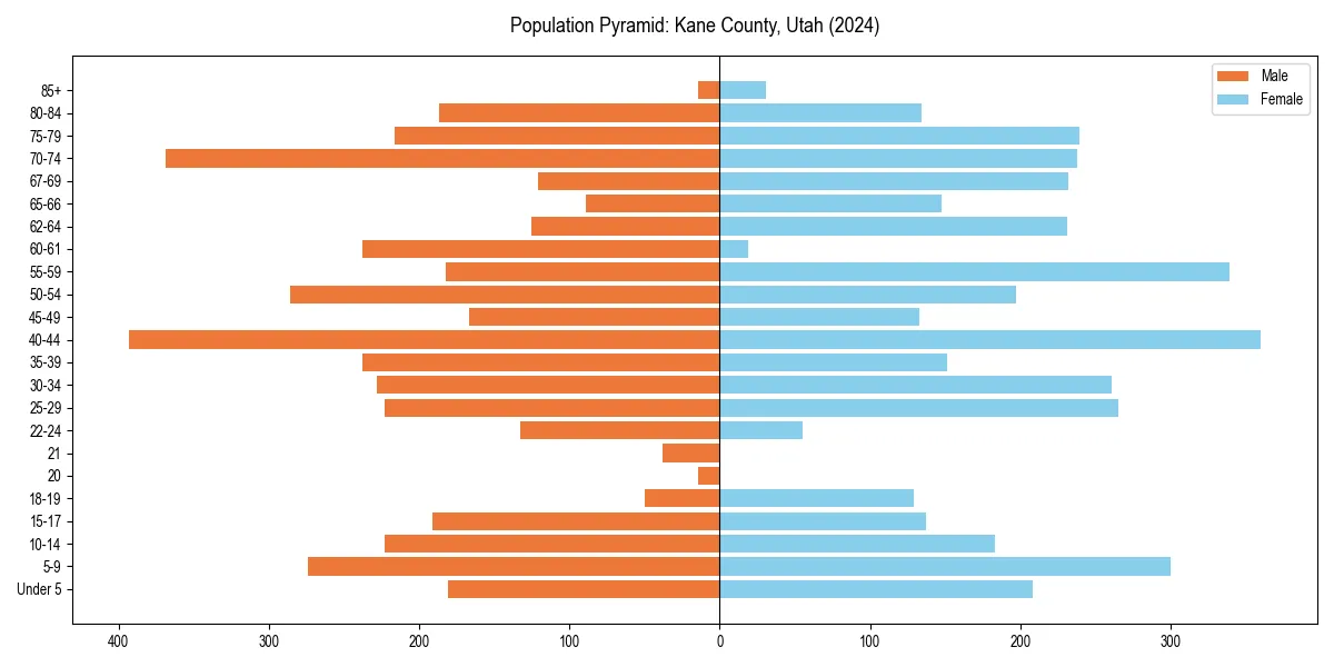 Population pyramid for 