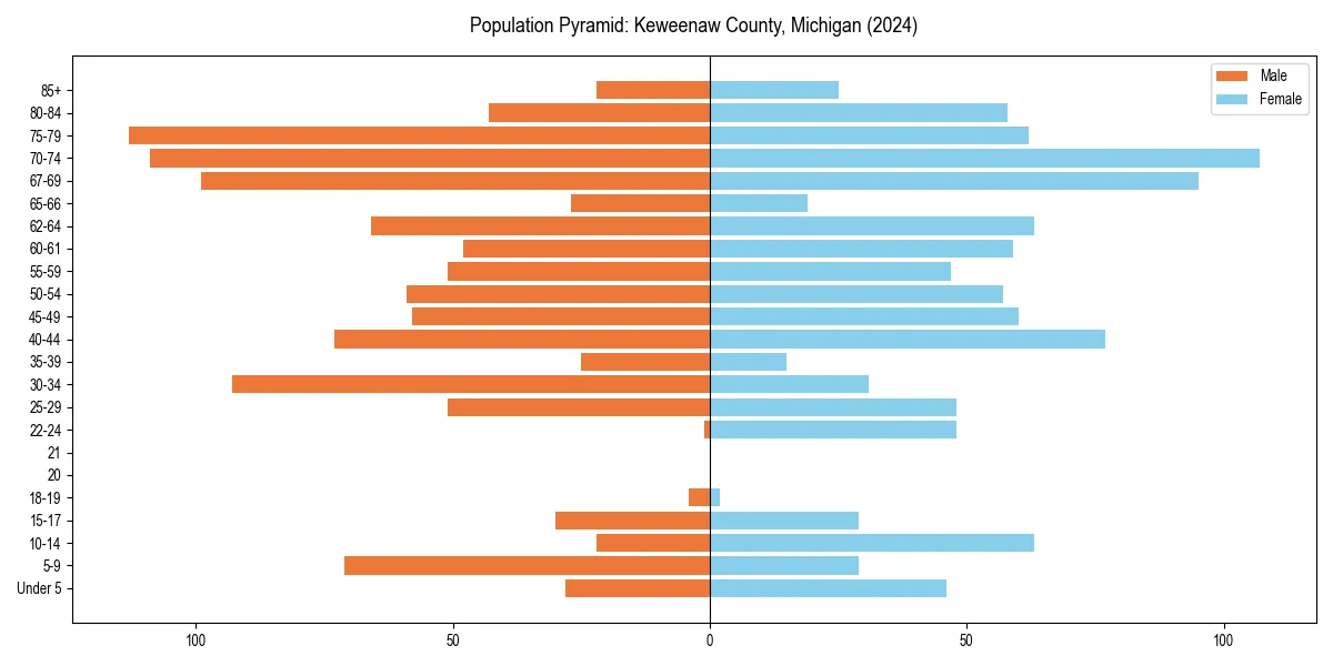 Population pyramid for 