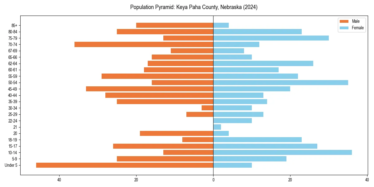 Population pyramid for 