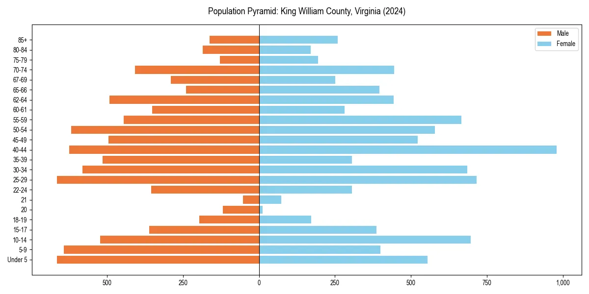 Population pyramid for 