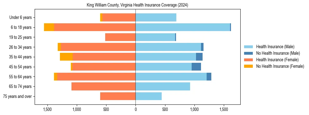 Health insurance pyramid for King William County, Virginia