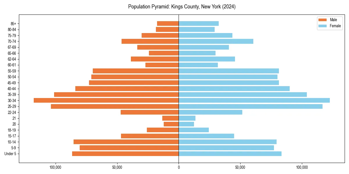 Population pyramid for 