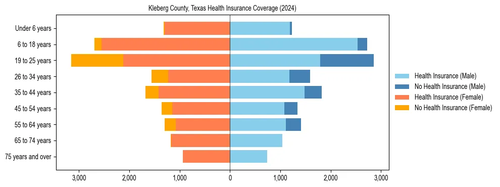 Health insurance pyramid for Kleberg County, Texas