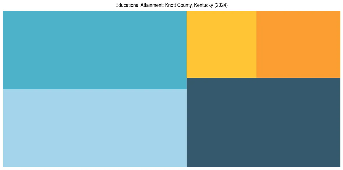 Education Treemap for  in 2024