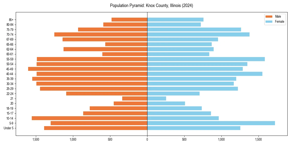 Population pyramid for 