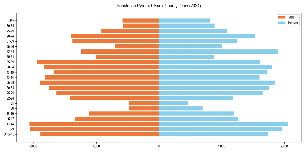 Population pyramid for 