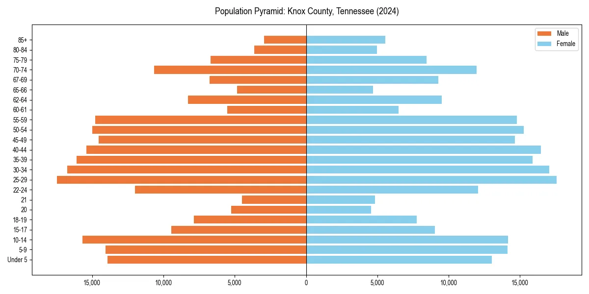 Population pyramid for 
