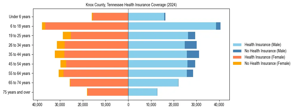 Health insurance pyramid for Knox County, Tennessee