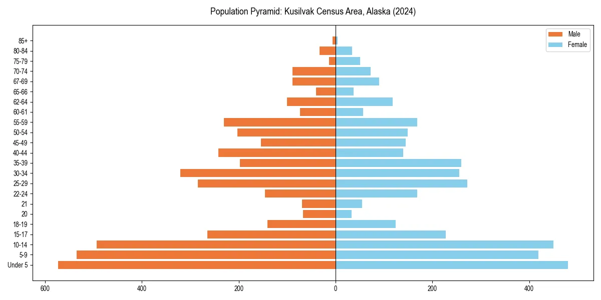 Population pyramid for 