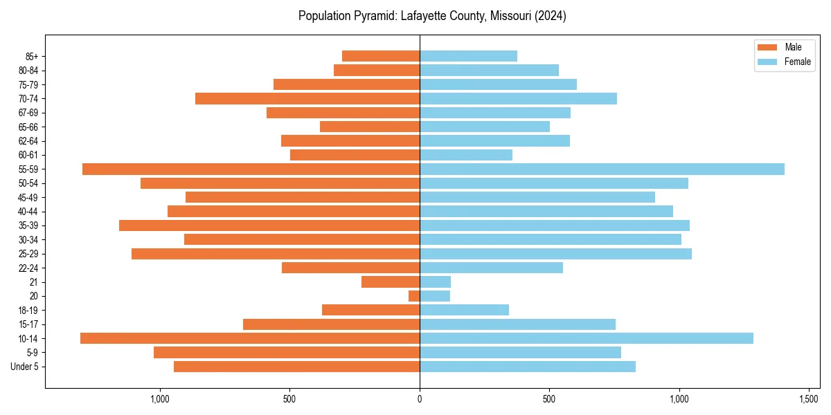 Population pyramid for 