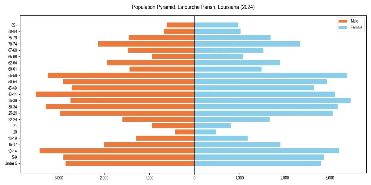 Population pyramid for 