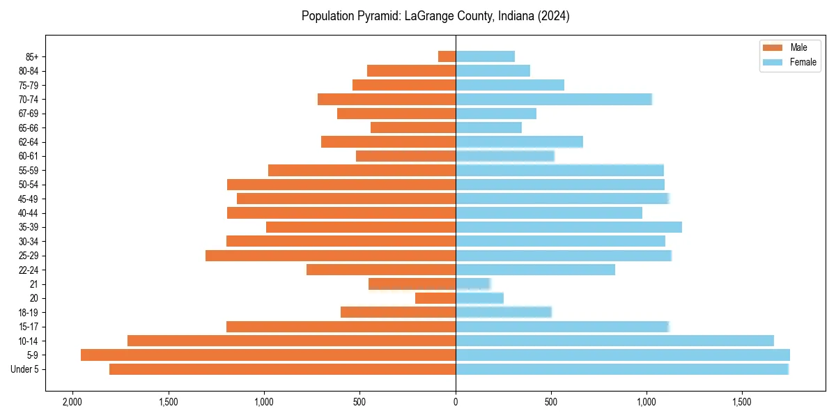 Population pyramid for 