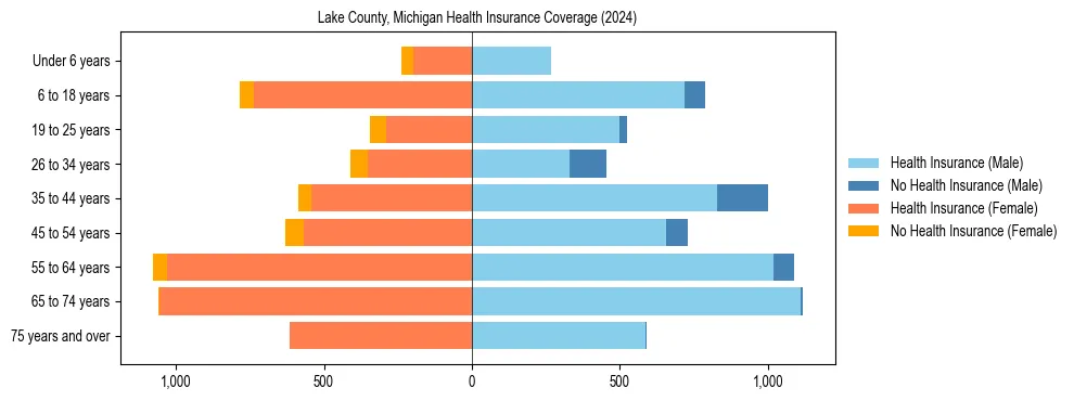 Health insurance pyramid for Lake County, Michigan